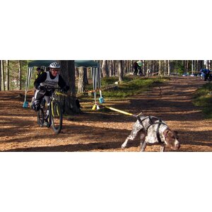 Kickbike Cross MAX 20D ja juomapullo + teline