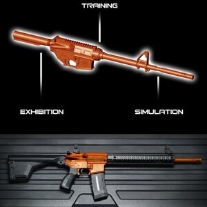 IMI Defense MTR16, Training Rifle