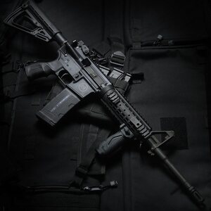IMI Defense MTR16, Training Rifle