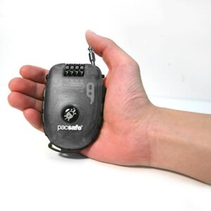 Pacsafe Retractasafe 250