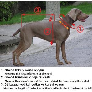 Zero DC Short -harness