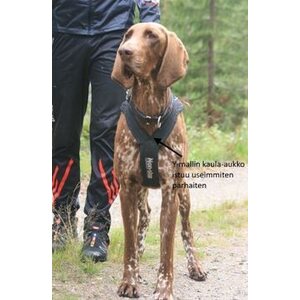 Non-stop Dogwear Freemotion