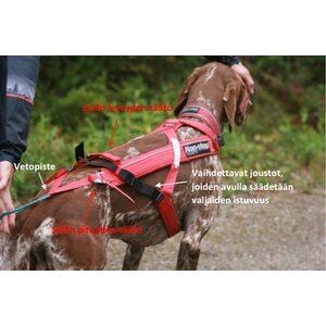 Non-stop Dogwear Combined harness