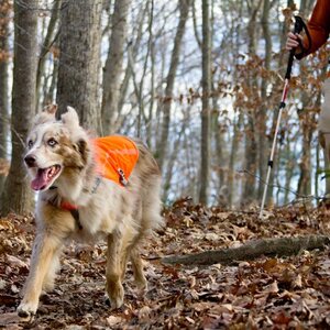 Ruffwear Track Jacket 2016