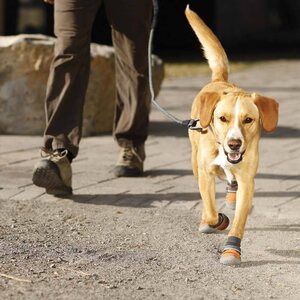 Ruffwear Summit Trex, 4 pcs
