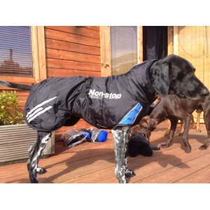 Non-stop Dogwear Pro Warm -takki