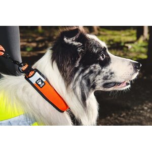 Hurtta Lifeguard Dazzle Collar