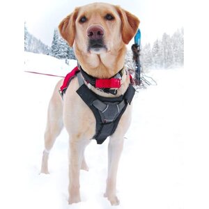 Ruffwear Brush Guard