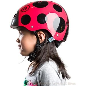 Nutcase Little Nutty Ladybug