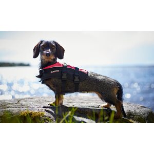 Baltic Pet Buoyancy vest