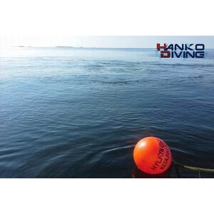 Sukelluskoulu Aalto Demoday super deal