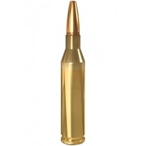 Lapua .243Win SP 6,5g/100gr 20 kpl