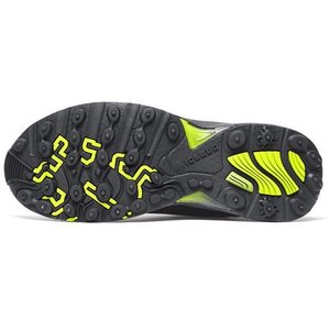 Icebug Pace2 W BUGrip GTX for ladies