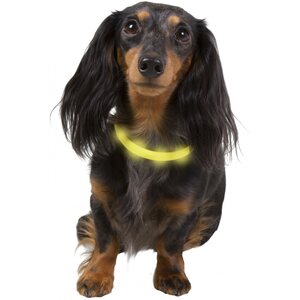 Best Friend Gear LED-valopanta