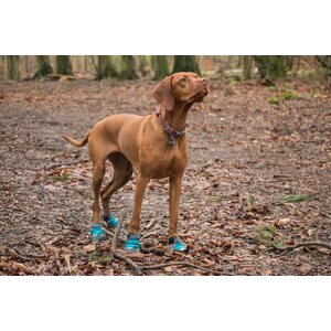 Ruffwear Grip Trex, 2pcs
