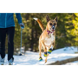 Ruffwear Polar Trex, 2pcs