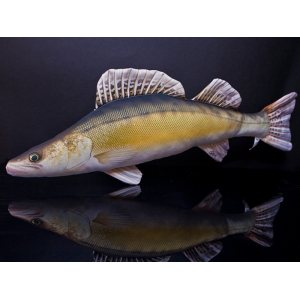 Zander Plushie 70cm