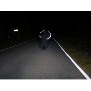 Huomio Reflective Umbrella