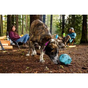 Ruffwear Gnawt-a-Rock