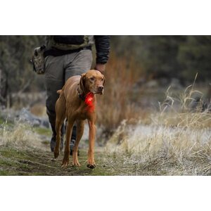 Ruffwear The Beacon Safety Light