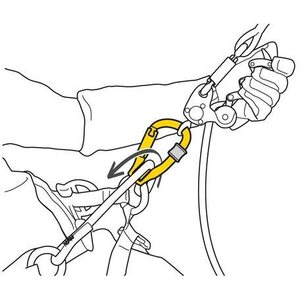 Petzl Rollclip Z TriactLock