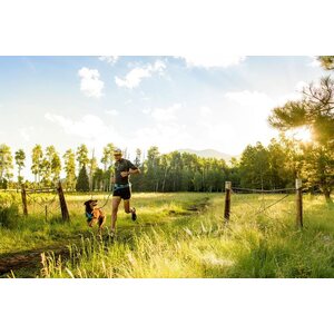 Ruffwear Trail Runner System
