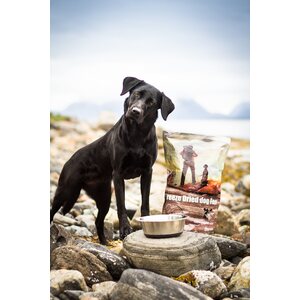 Non-stop Dogwear Freeze dried beef tripe