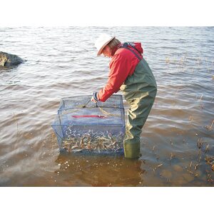 Pietarin Katiska Fish Basket