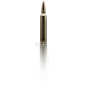 Sako .300 Win Mag TRG 11,3g / 175grs 10pcs
