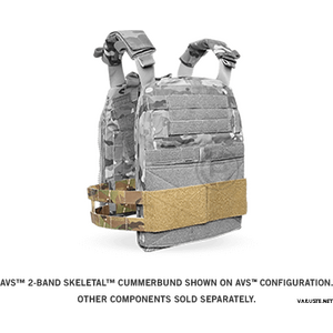 Crye Precision AVS Package