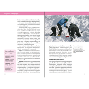 Calazo Lumivyöry! - Tunturihiihtäjän ja vapaalaskijan lumivyöryopas