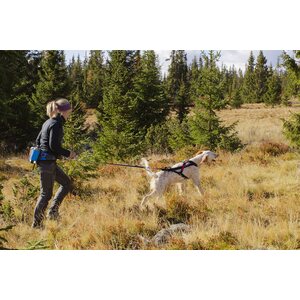 Non-stop Dogwear Ferd Belt