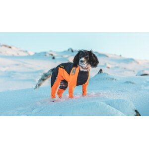 Non-stop Dogwear Protector Snow