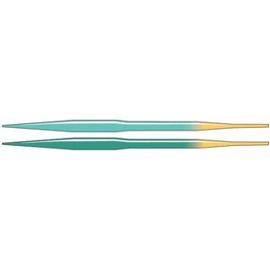Guideline Coastal Evolve