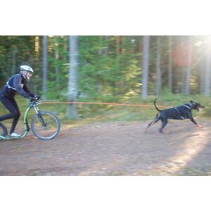 Kickbike Cross FIX