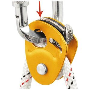 Petzl Micro Traxion