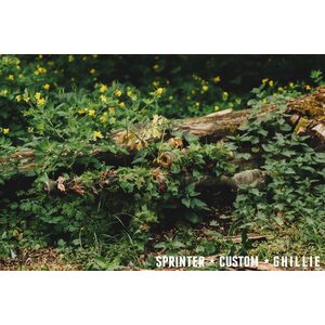 SC Ghillie SCG. NEXTGEN RIFLE CAMO SYSTEM, ATACS FGX