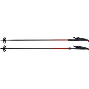 Åsnes Ingstad Alloy Pole