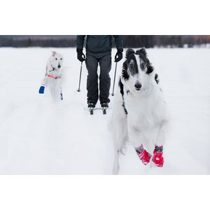 Non-stop Dogwear Long distance Bootie, 4 pcs