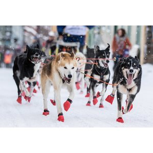 Non-stop Dogwear Long distance Bootie, 4 pcs
