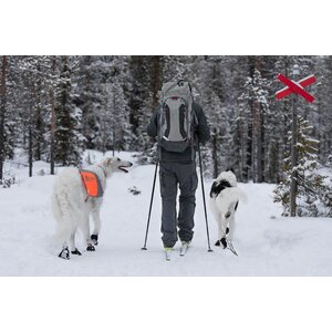 Non-stop Dogwear Solid Socks, 4 pcs