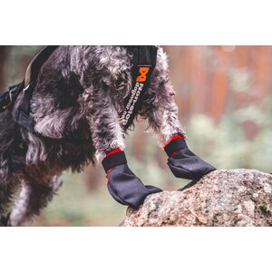 Non-stop Dogwear Solid Socks, 4 pcs