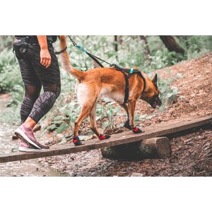 Non-stop Dogwear Solid Socks, 4 pcs