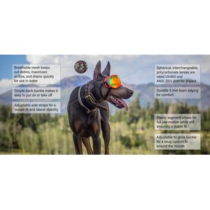 Rex Specs Dog Goggle - Black