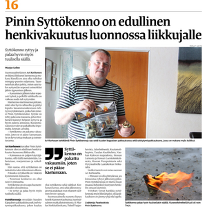 Pinin Tervantuoksuinen Syttökenno 6 kpl
