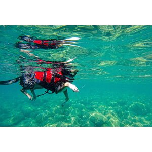 Non-stop Dogwear Safe Life Jacket