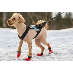 Non-stop Dogwear Freemotion