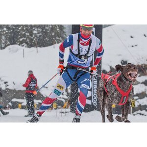 Non-stop Dogwear Combined harness