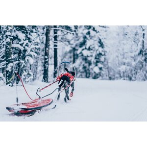 Non-stop Dogwear Combined harness
