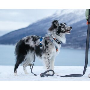 Non-stop Dogwear Polar Klick panta